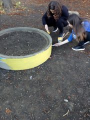 IMG_20191011_083221.jpg